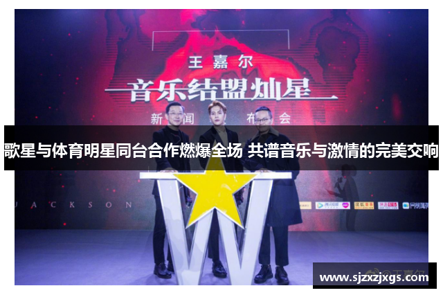 歌星与体育明星同台合作燃爆全场 共谱音乐与激情的完美交响
