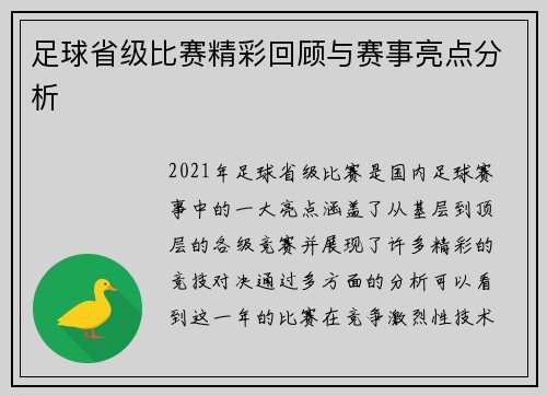 足球省级比赛精彩回顾与赛事亮点分析